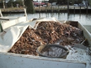 Seafood_3