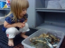 Seafood_7