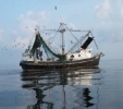 boat_1