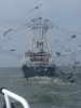 boat_5