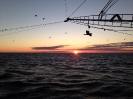 boat_8